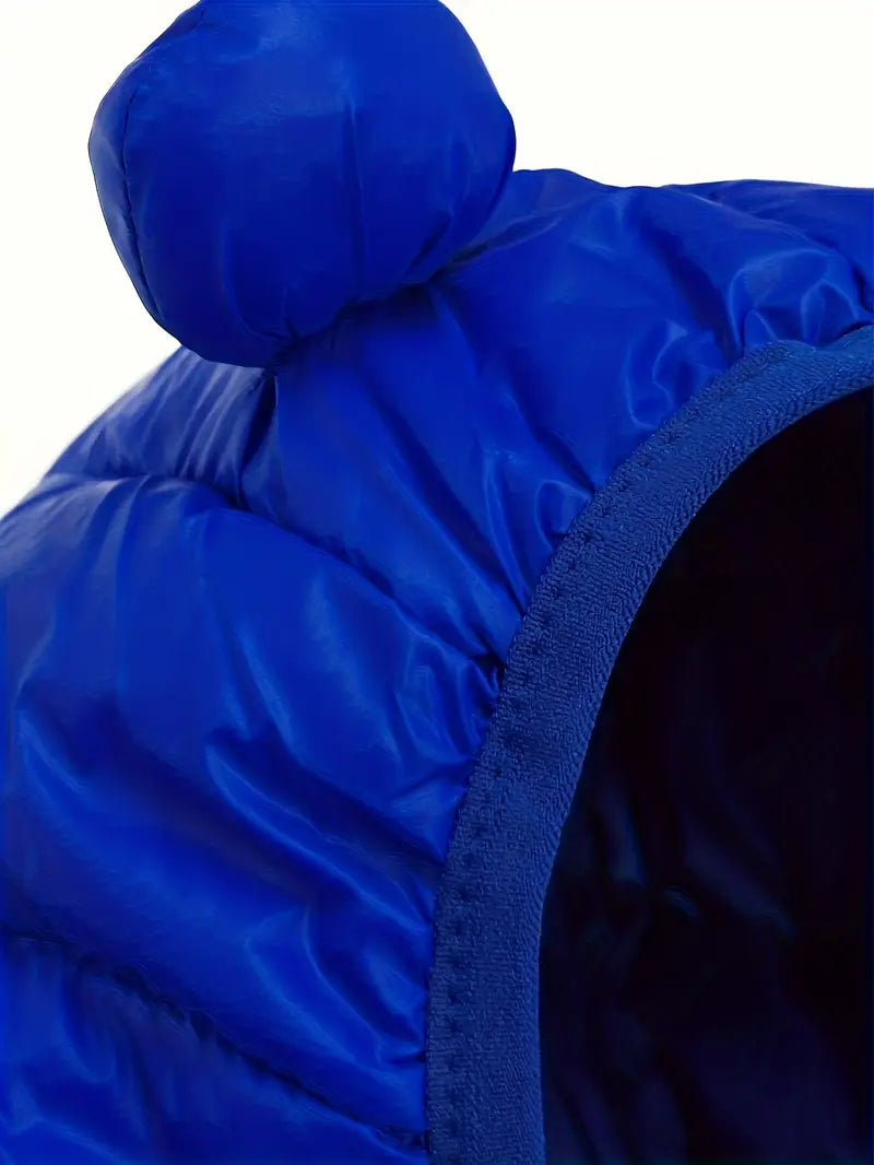 Hooded Jacket with Bear Ears for Boys